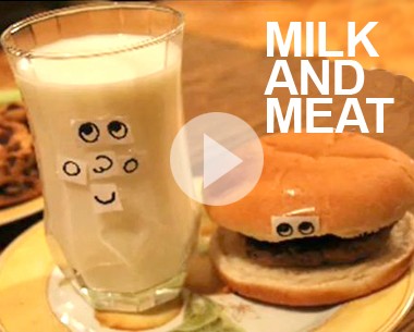 Milk and Meat shtetl(1)